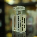 PDM Delina